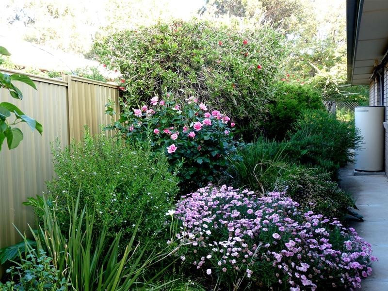 6 William Street, Mount Pleasant SA 5235