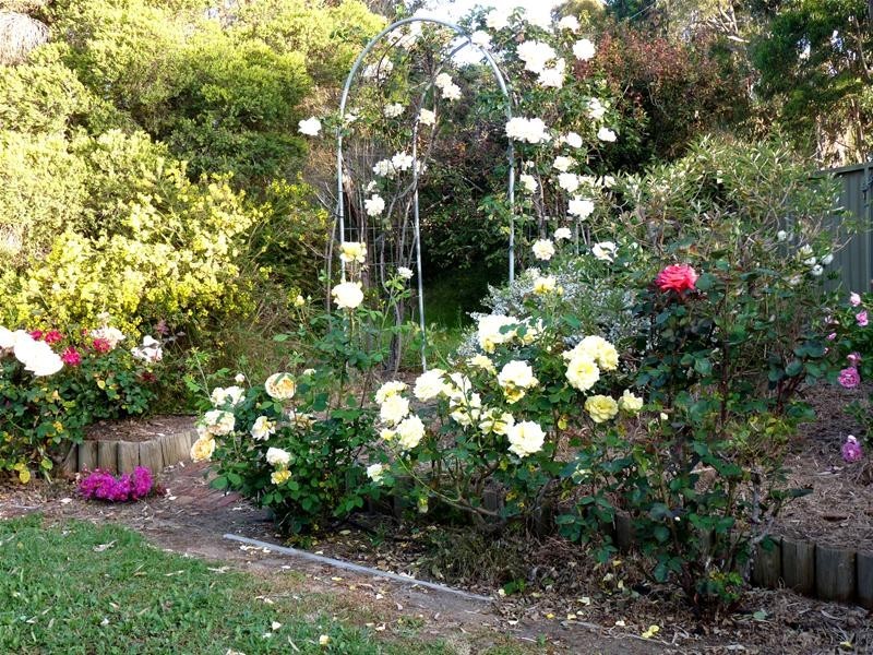 6 William Street, Mount Pleasant SA 5235