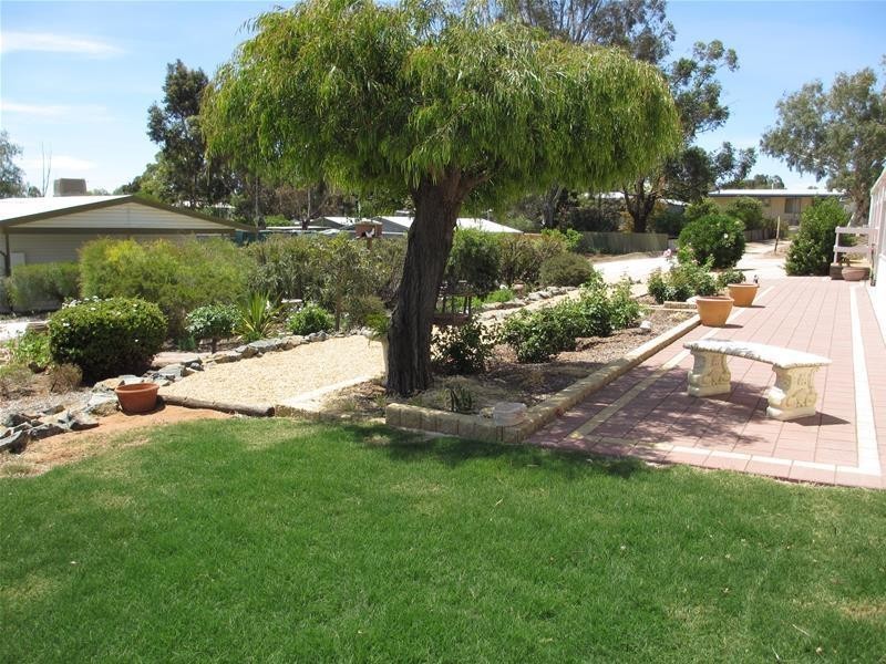 42 Nildottie Road, Swan Reach SA 5354