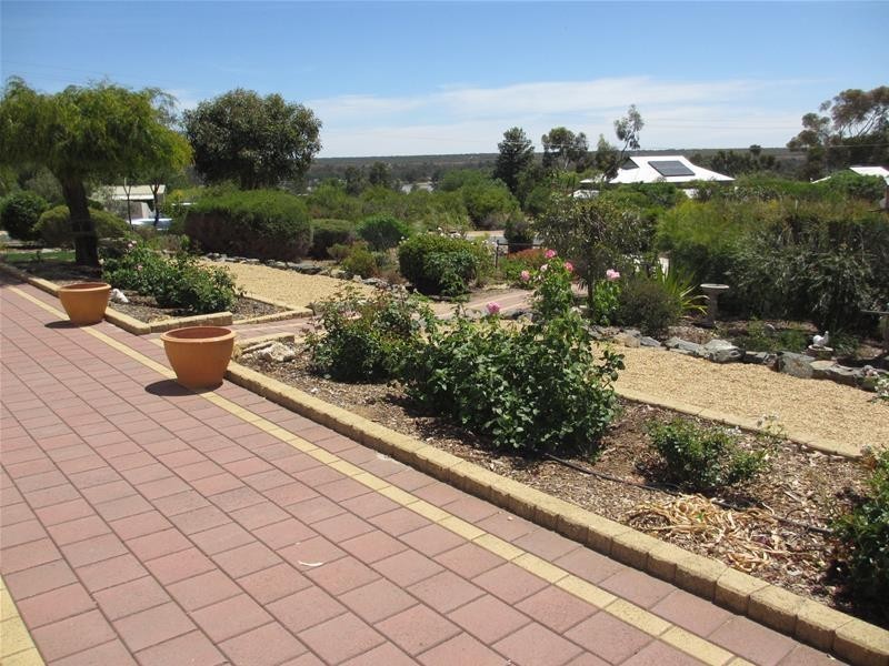 42 Nildottie Road, Swan Reach SA 5354