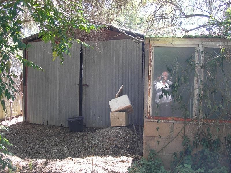 5 Randall Street, Mannum SA 5238