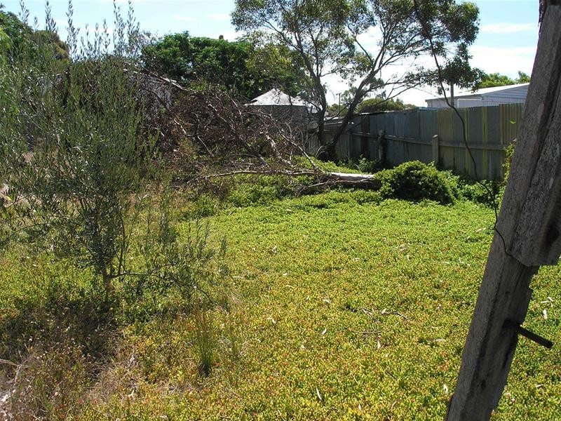 5 Randall Street, Mannum SA 5238