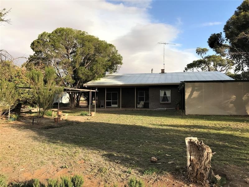 736 Black Hill Road, Cambrai SA 5353