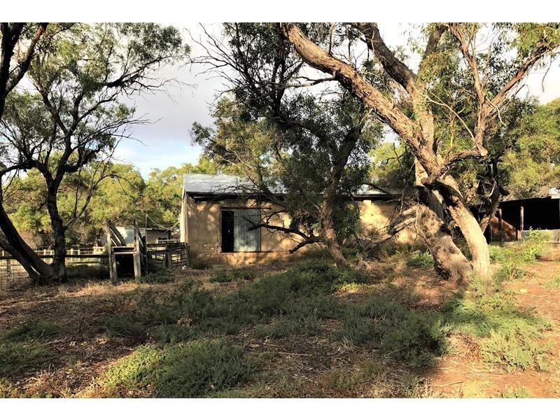 736 Black Hill Road, Cambrai SA 5353
