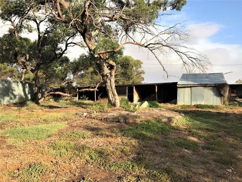 736 Black Hill Road, Cambrai SA 5353