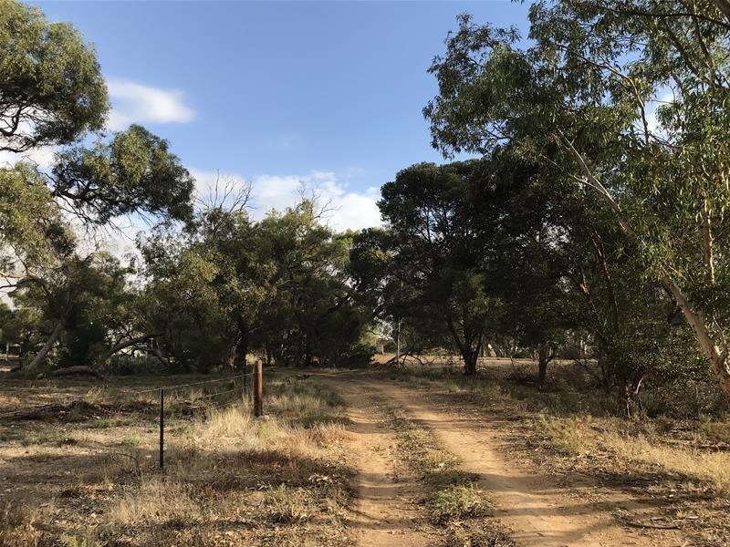 736 Black Hill Road, Cambrai SA 5353