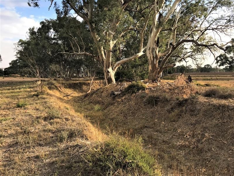 736 Black Hill Road, Cambrai SA 5353