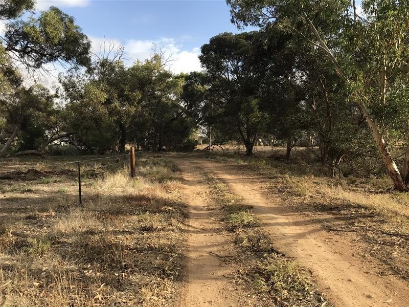 736 Black Hill Road, Cambrai SA 5353