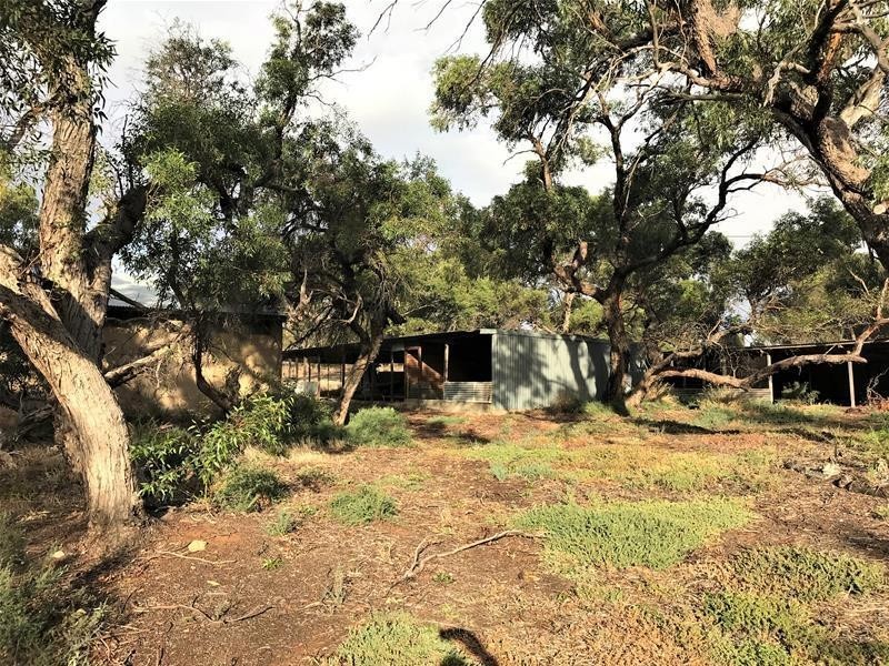 736 Black Hill Road, Cambrai SA 5353