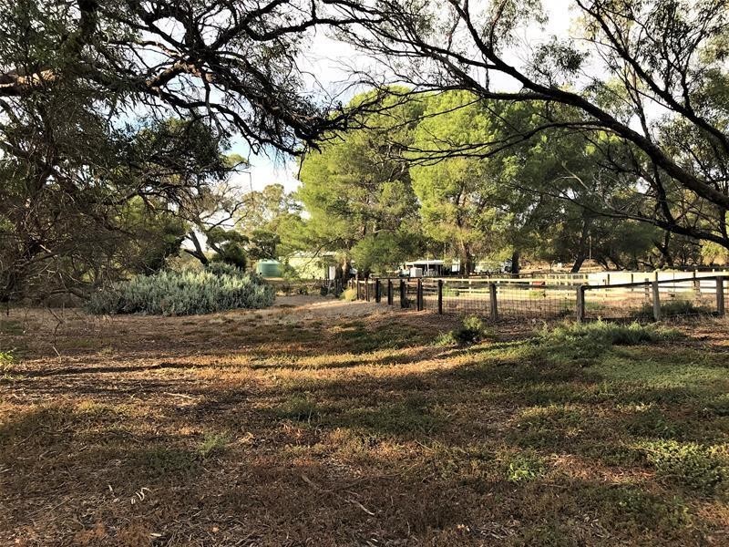 736 Black Hill Road, Cambrai SA 5353