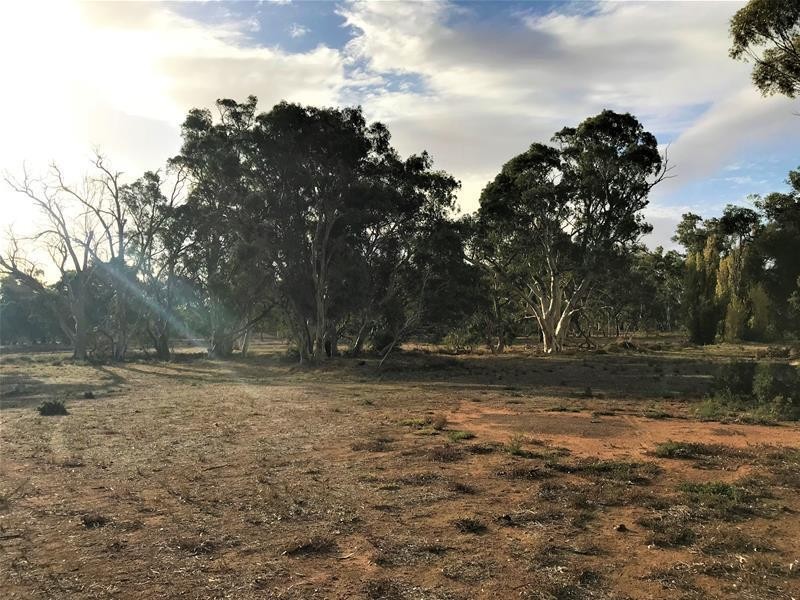 736 Black Hill Road, Cambrai SA 5353