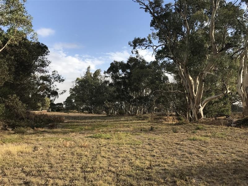 736 Black Hill Road, Cambrai SA 5353