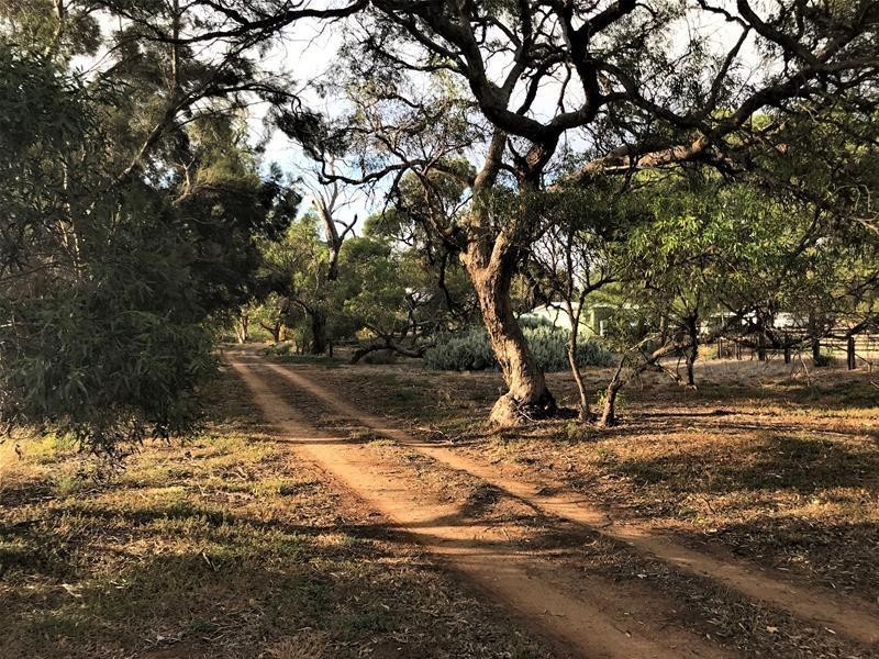 736 Black Hill Road, Cambrai SA 5353