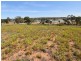 718 East Front Road, Younghusband SA 5238
