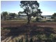 718 East Front Road, Younghusband SA 5238