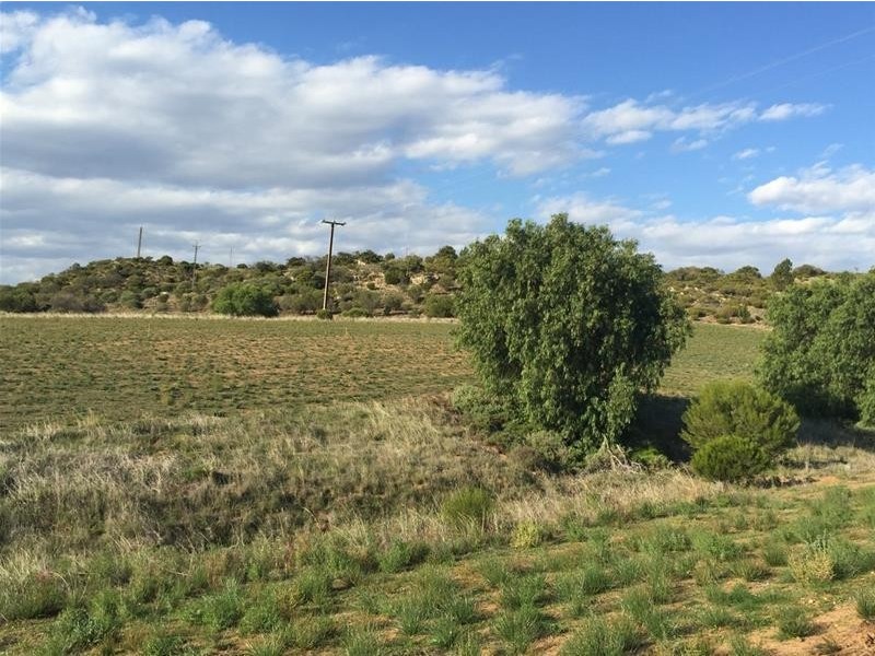 718 East Front Road, Younghusband SA 5238