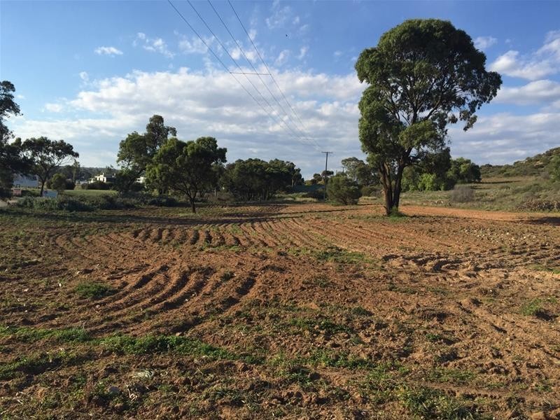 718 East Front Road, Younghusband SA 5238