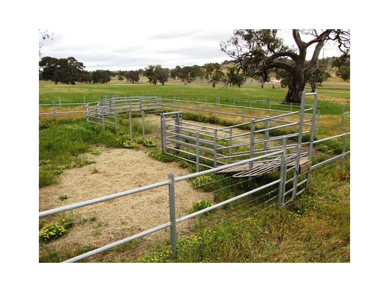 Lot 4 Rushlea Road, Eden Valley SA 5235