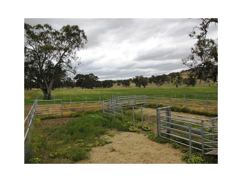 Lot 4 Rushlea Road, Eden Valley SA 5235