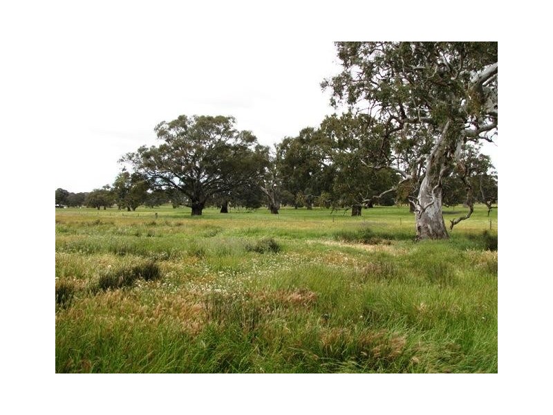 Lot 4 Rushlea Road, Eden Valley SA 5235