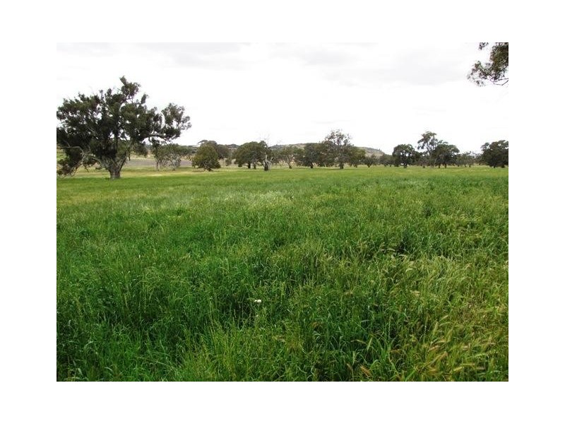 Lot 4 Rushlea Road, Eden Valley SA 5235