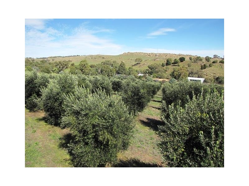 Lot 5 Humbles Road, Mount Pleasant SA 5235