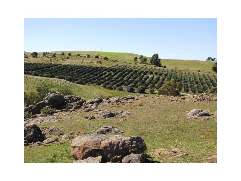 Lot 5 Humbles Road, Mount Pleasant SA 5235