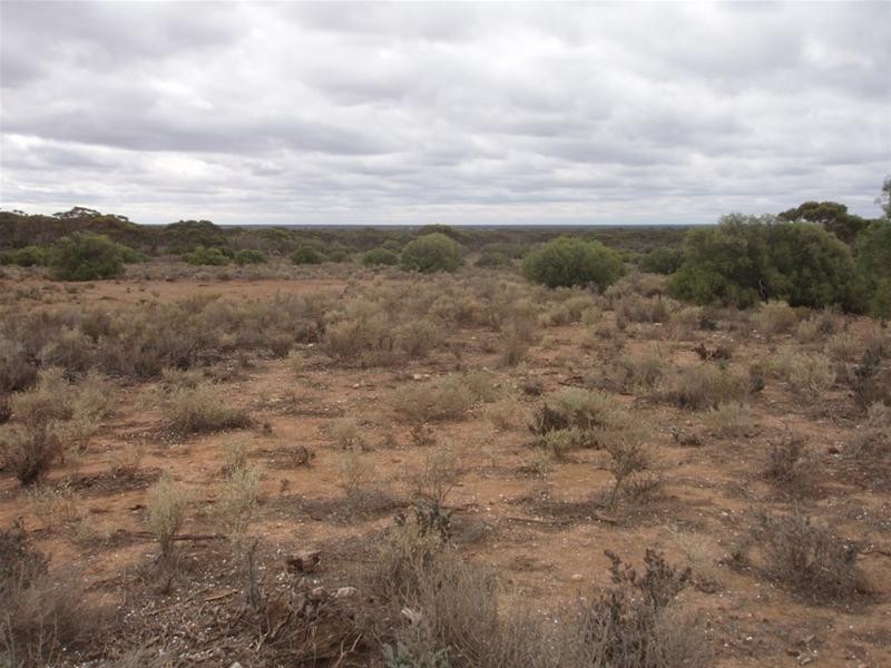 Lot 3 Frost Road Sandleton via, Sedan SA 5353