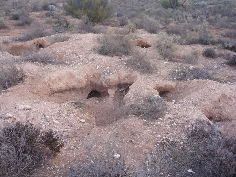 Lot 3 Frost Road Sandleton via, Sedan SA 5353