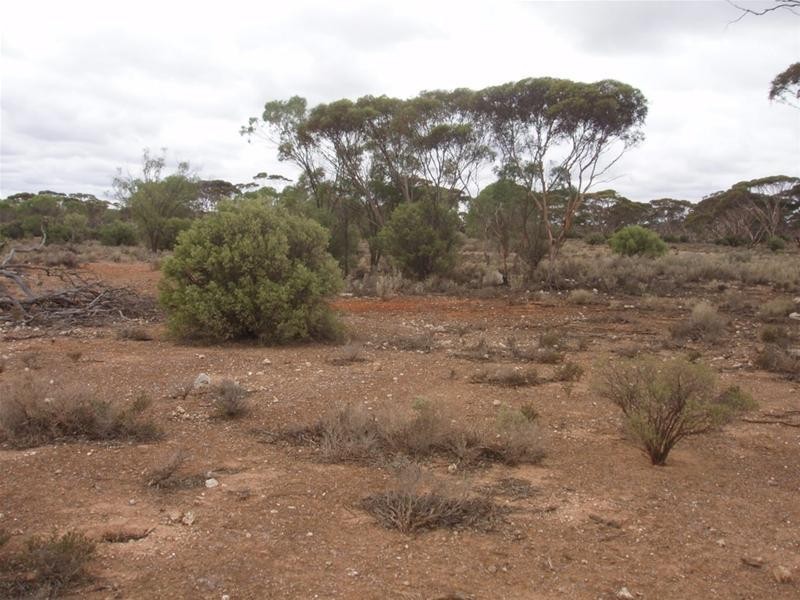 Lot 3 Frost Road Sandleton via, Sedan SA 5353