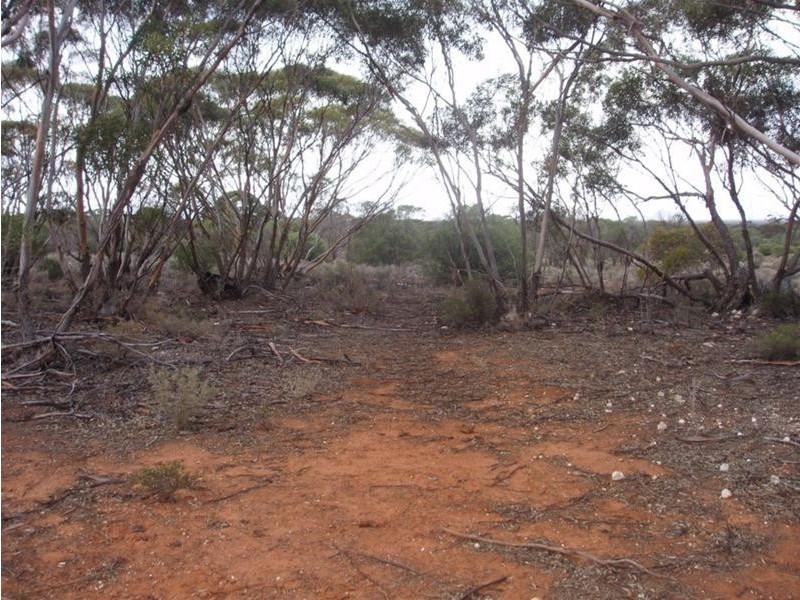 Lot 3 Frost Road Sandleton via, Sedan SA 5353