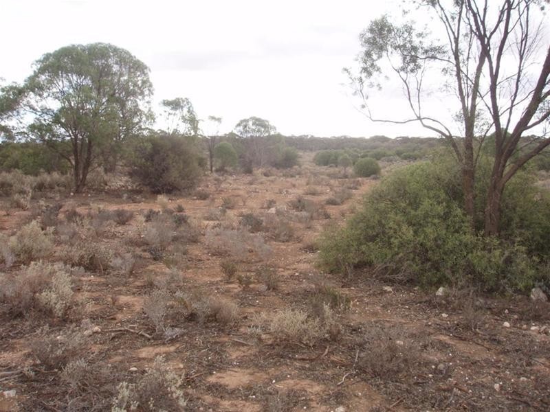 Lot 3 Frost Road Sandleton via, Sedan SA 5353