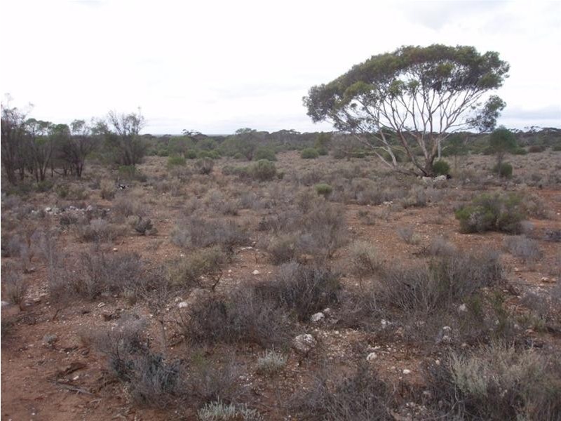 Lot 3 Frost Road Sandleton via, Sedan SA 5353