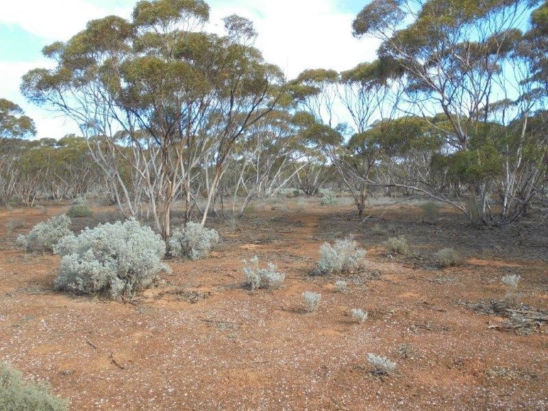 Section 18 Bower Boundary Road, Bower SA 5374