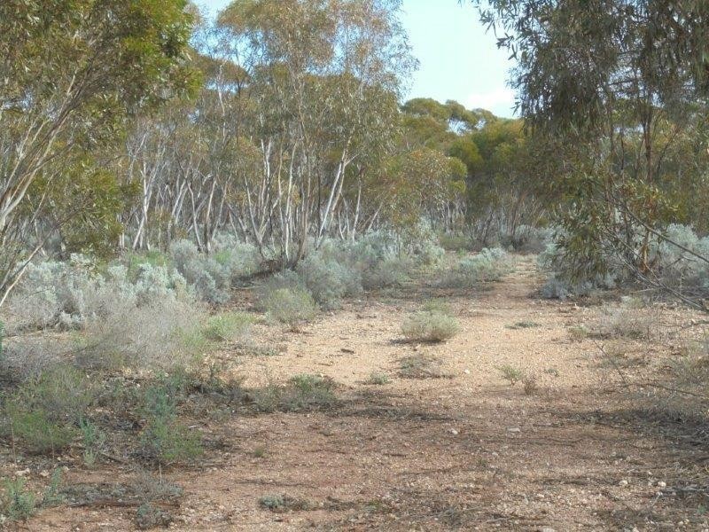 Section 18 Bower Boundary Road, Bower SA 5374