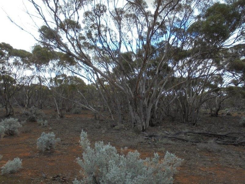 Section 18 Bower Boundary Road, Bower SA 5374