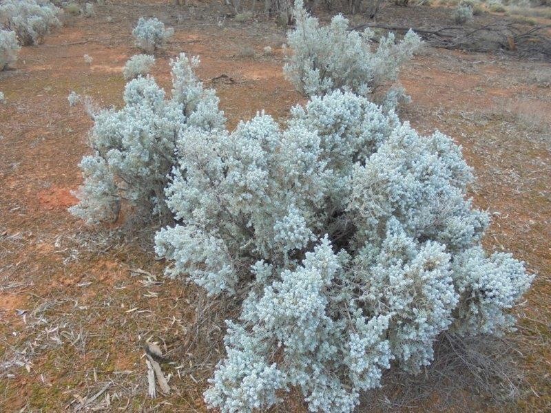 Section 18 Bower Boundary Road, Bower SA 5374