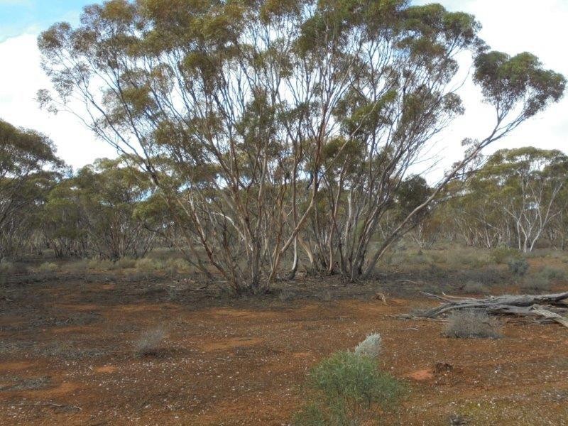Section 18 Bower Boundary Road, Bower SA 5374