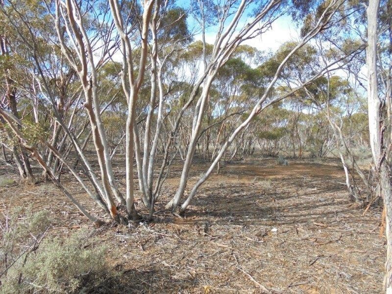 Section 18 Bower Boundary Road, Bower SA 5374