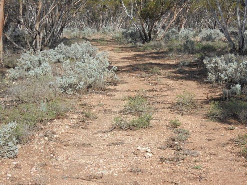 Section 18 Bower Boundary Road, Bower SA 5374