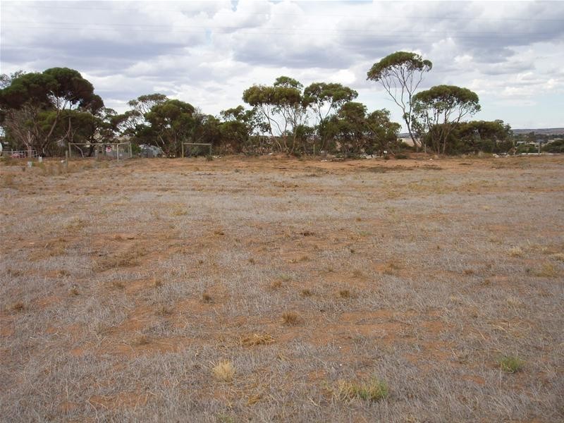 17 Ramm Road, Mannum SA 5238