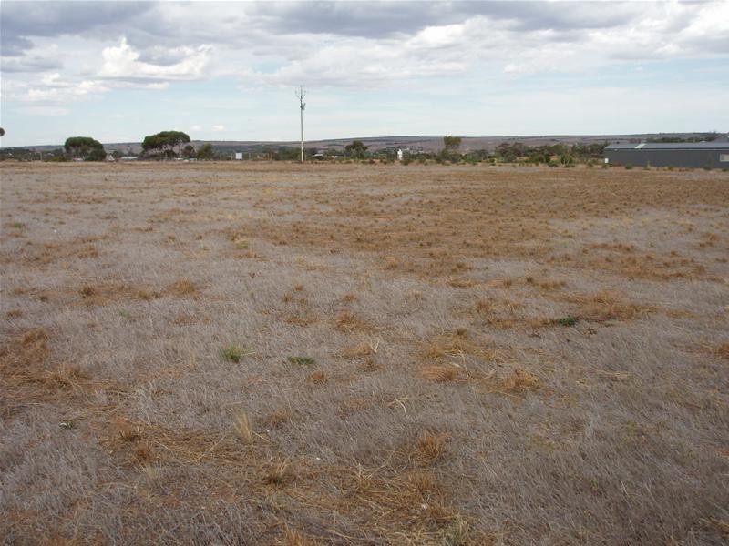 17 Ramm Road, Mannum SA 5238