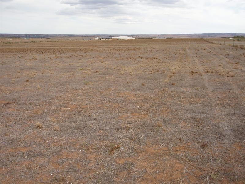 17 Ramm Road, Mannum SA 5238