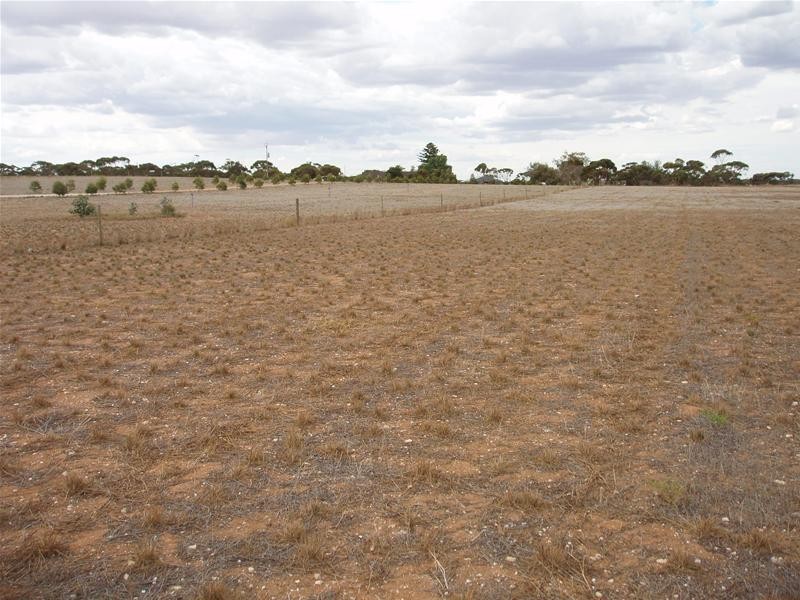 17 Ramm Road, Mannum SA 5238