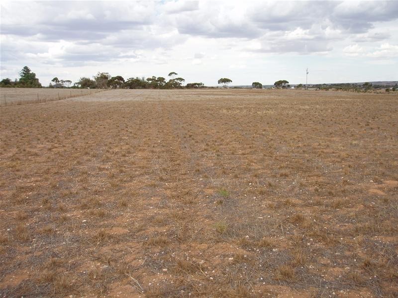 17 Ramm Road, Mannum SA 5238