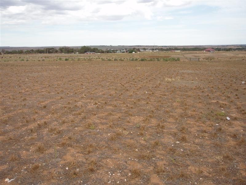 17 Ramm Road, Mannum SA 5238