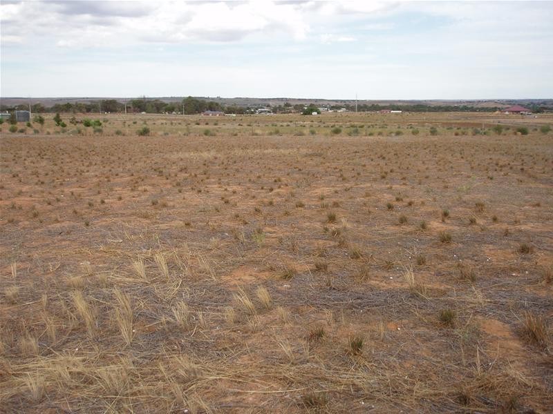 17 Ramm Road, Mannum SA 5238