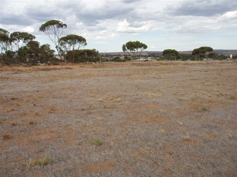 17 Ramm Road, Mannum SA 5238