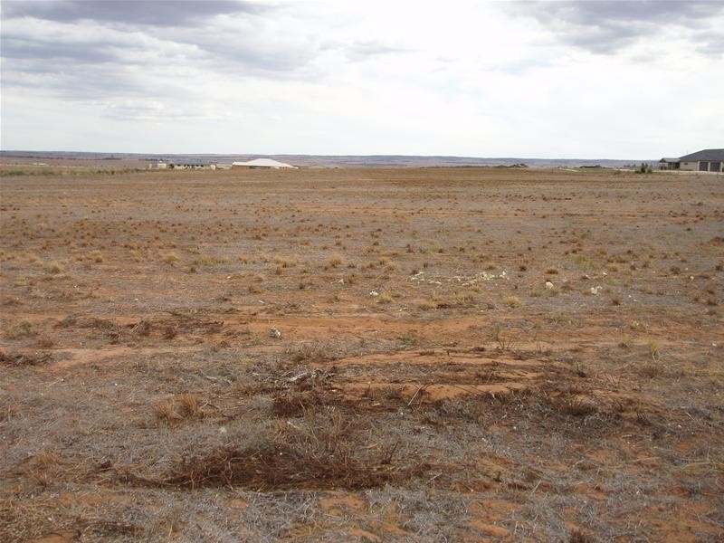 17 Ramm Road, Mannum SA 5238