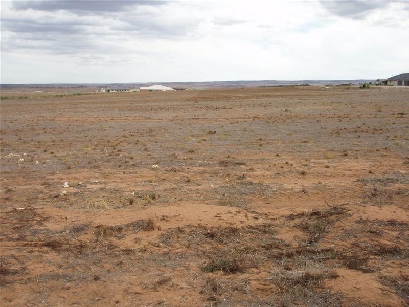 17 Ramm Road, Mannum SA 5238